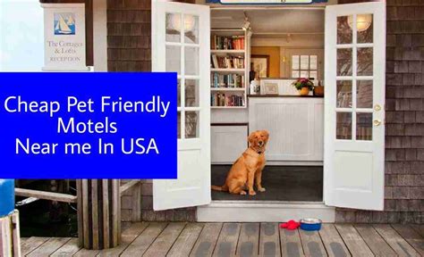 motels near me pet friendly|pet allowed hotels near me.